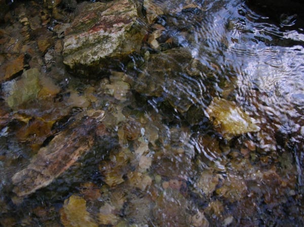 под водами горных рек