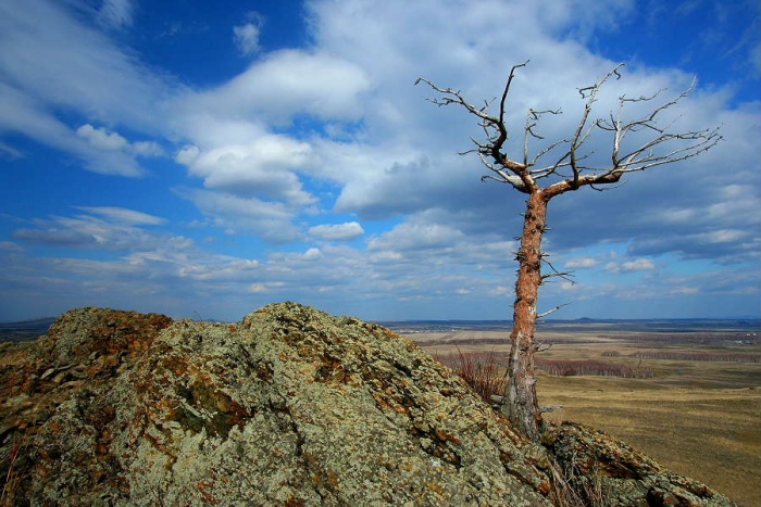 Старожил