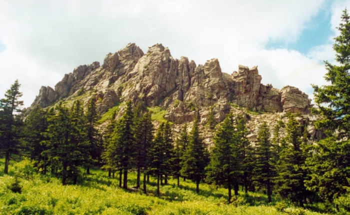 Откликной гребень