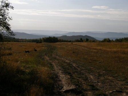 Дорога без начала и конца