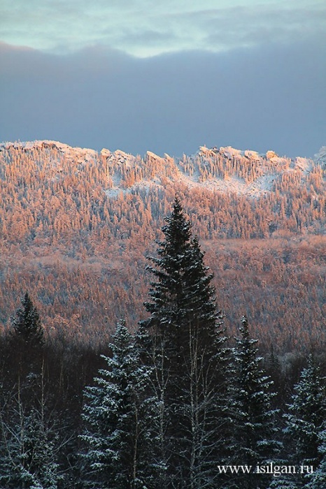 г.Лукаш