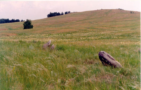 аллея менгиров (г.Чека)