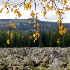 абараш-баш с тыгынского курума